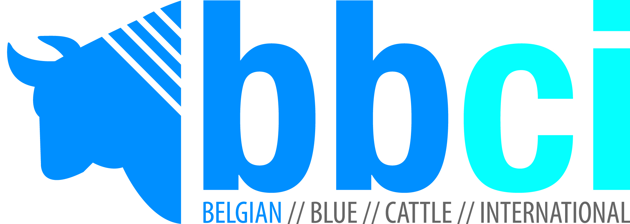 BELGIAN BLUE CATTLE INTERNATIONAL SPRL